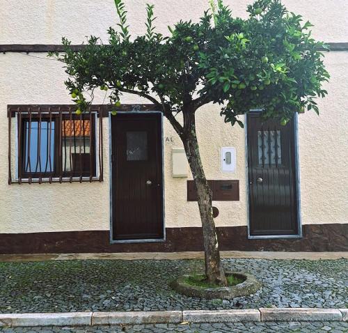 Avis Apartment | Cantinho da Casa