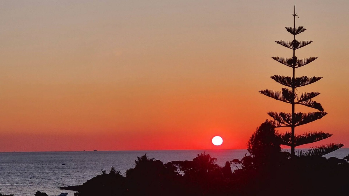 Cap-d'Antibes Apartment | Cap d'Antibes, 5 minutes from La Garoupe beach on foot, recently renovated apartment