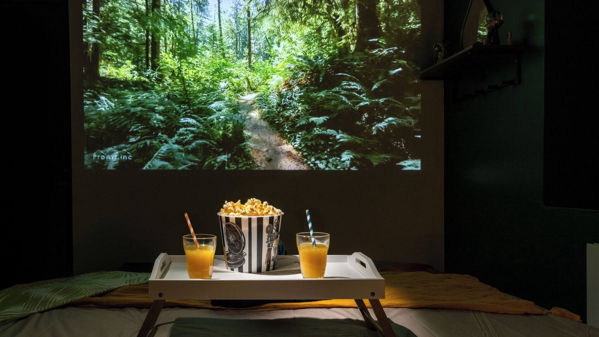 Limoux Apartment | Cap Jungle*Cinéma Immersif with video projector