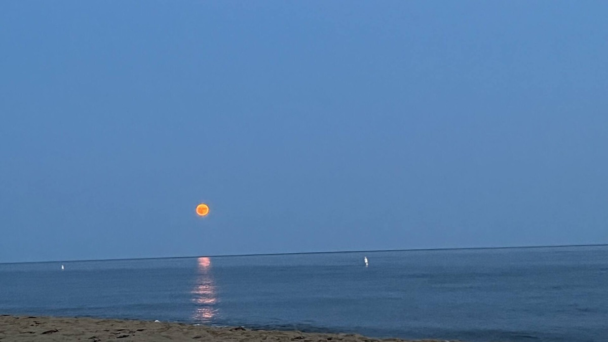 Mews Village House | Cape Cod/New Seabury Townhouse-4 Seasons!nWalk to Beach!