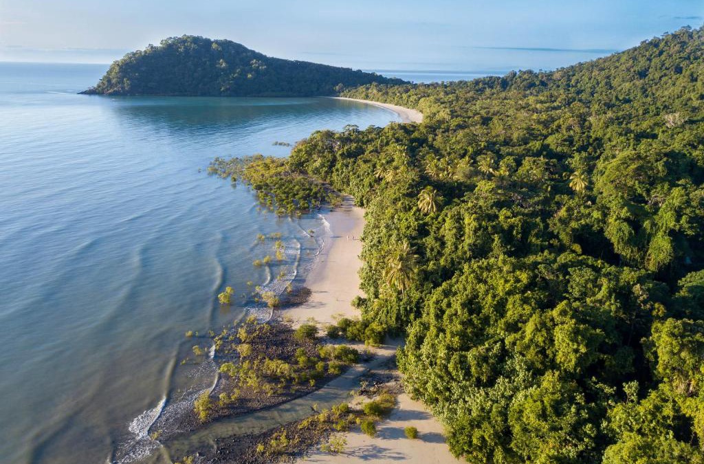 Cape Tribulation Resort | Cape Trib Beach House