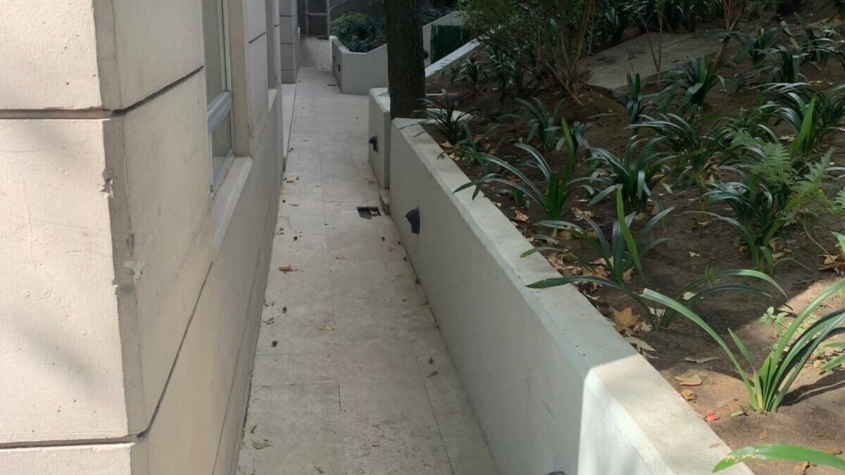 El Yaqui Condo | Capitalia - Bright w/Gym Fast Wi-Fi