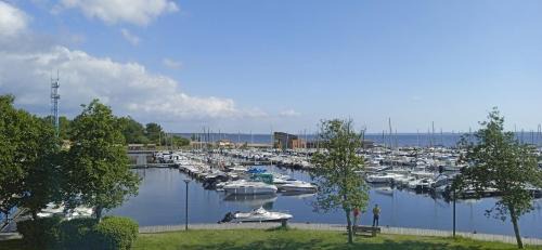 Hourtin Port Apartment | Capucine