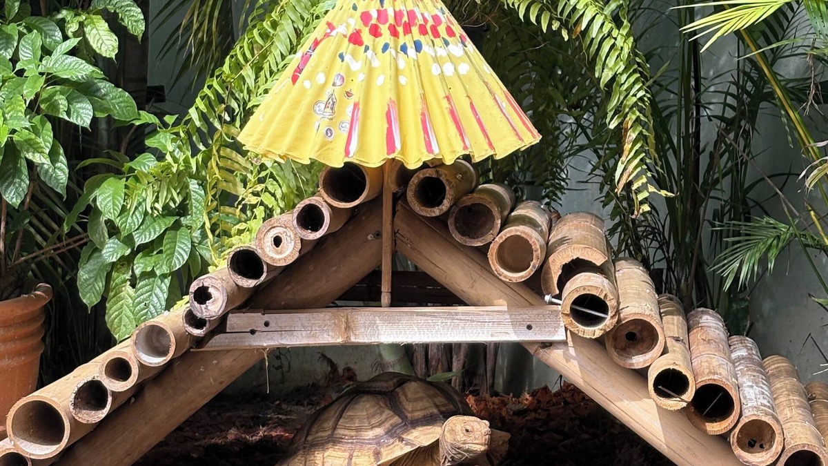 Mae Pong Resort | Capybara Zen Resort And Spa