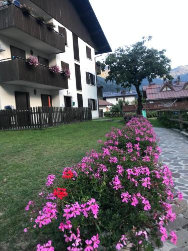 Carisolo Apartment | Carè Alto