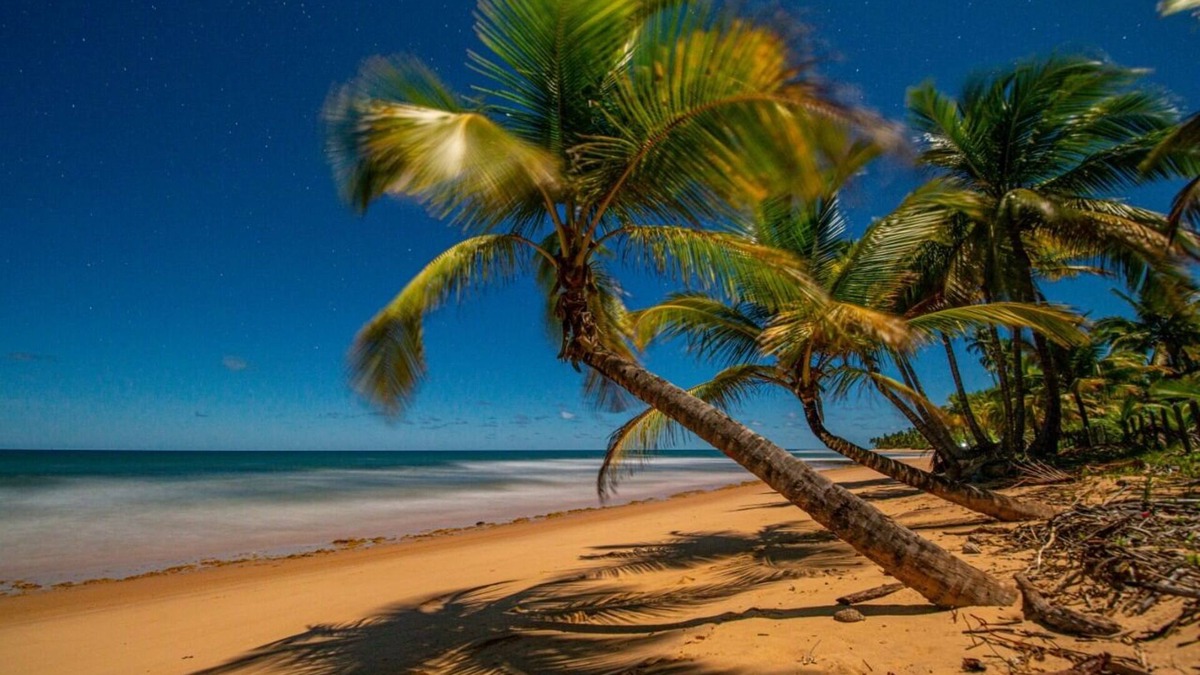 Barra Grande Hotel | Carapitangui Pousada