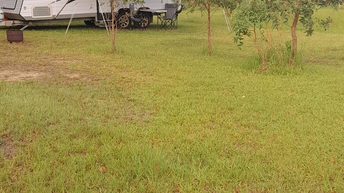 Cedar Party House | Caravan for 2 on 10 acre country property. Peace & nature abounds. Pet friendly