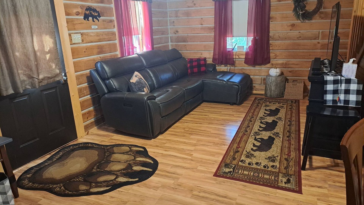 Birdseye Cabin | Cardinal Cabin with Hot tub, WIFI, Dish, park pass