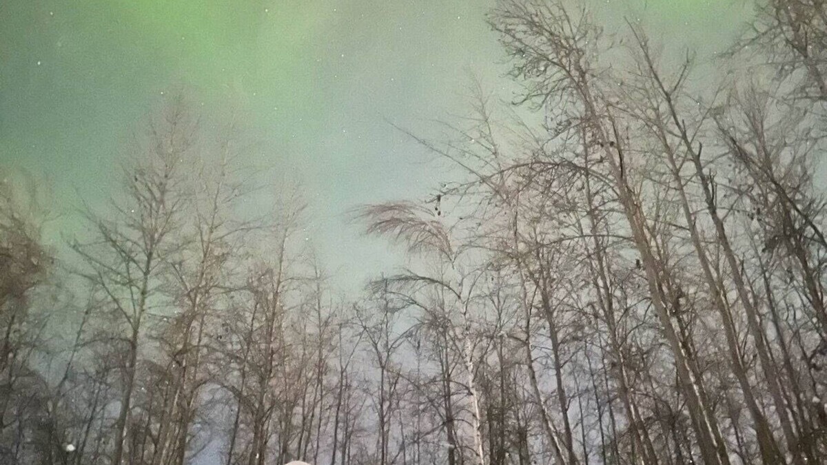 North Pole Cabin | Caribou Cabin in North Pole, Alaska