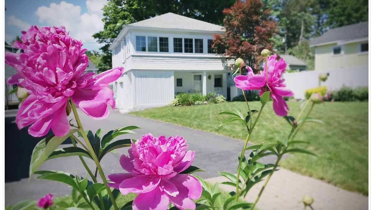Ogunquit Apartment | Carriage House Studio with Beautiful Pool in the Heart of Ogunquit