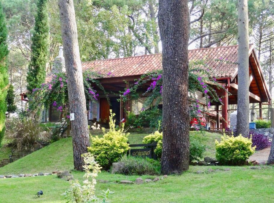 Solanas House | Casa Acuario - großes Haus mit besonderem Flair