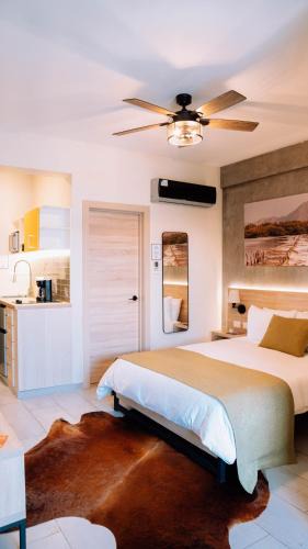 Zona Colonial Apartment | Casa Adefra