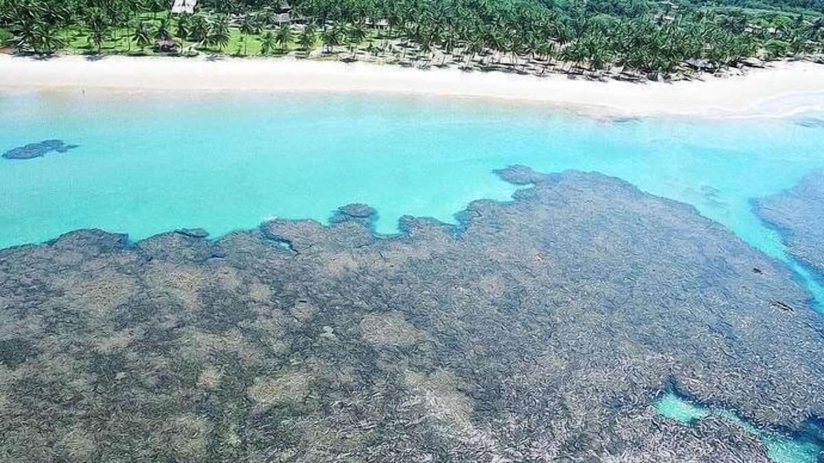 Barra Grande Hotel | Casa Antiga Hospedagem