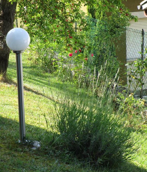 Mercatello sul Metauro Bed & Breakfast | Casa Balducci Bed&Breakfast