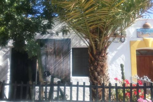 Rodalquilar House | Casa Bartolo