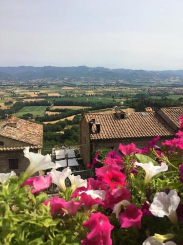 Santa Reparata Apartment | Casa Belvedere