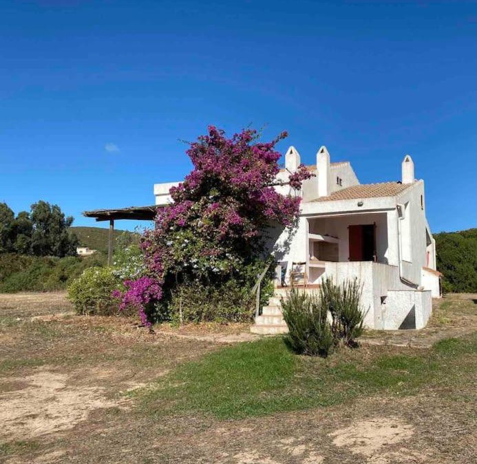 Carloforte House | Casa Bianchi - Villa immersa nel verde