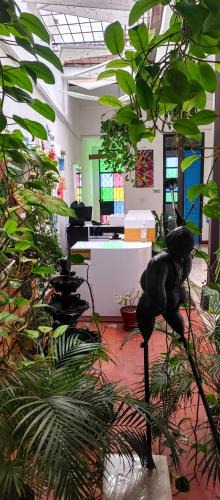 San Antonio House | Casa Blanca San Antonio Hostal Boutique