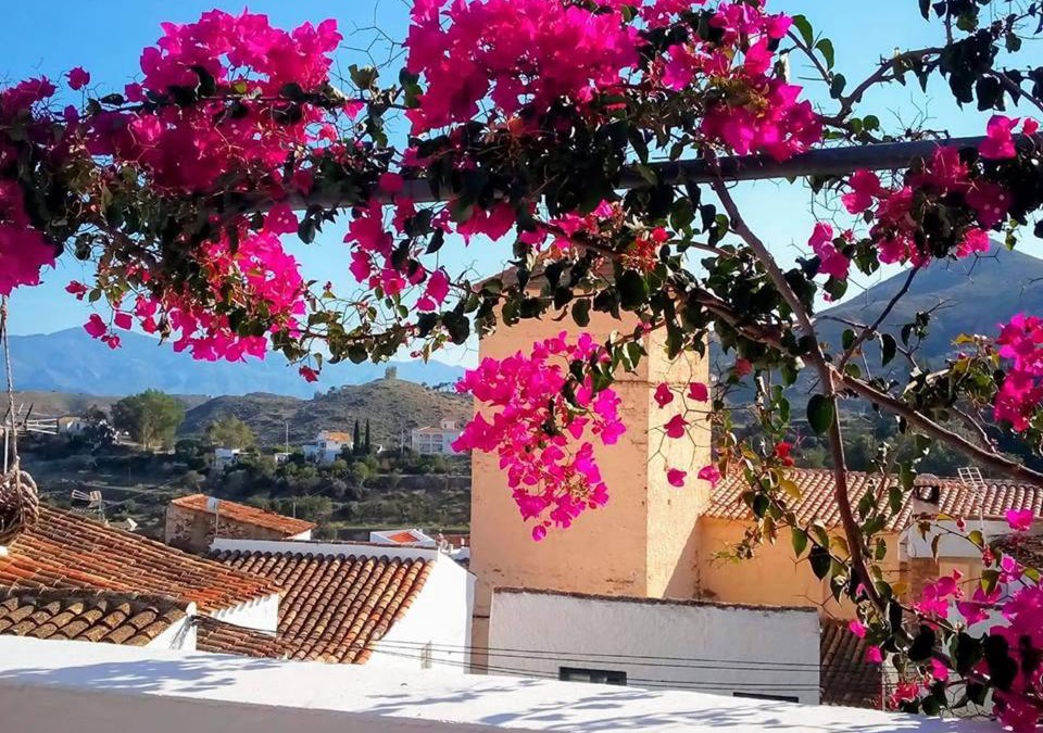 Bedar Bed & Breakfast | Casa Caballito De Mar Boutique B&B