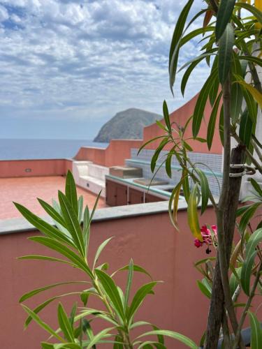 Canneto House | Casa Calandra