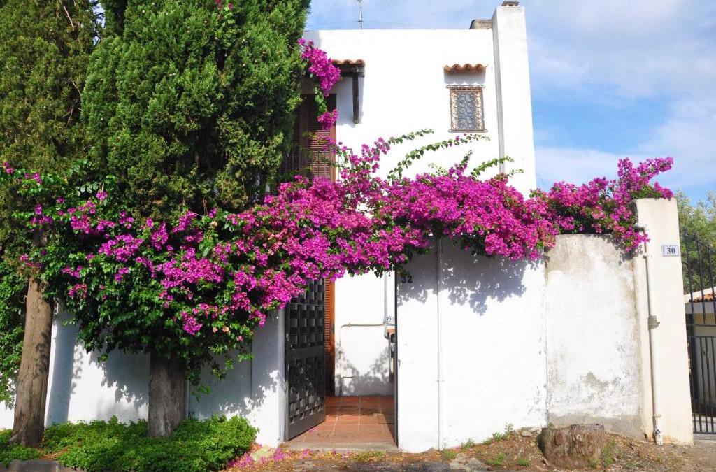 Milazzo Apartment | Casa Capiciana Punta Cirucco