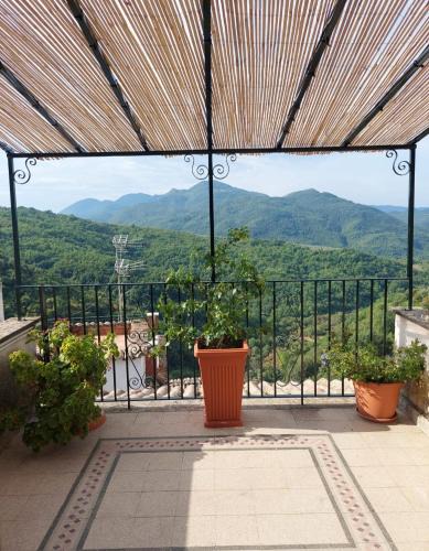 Cineto Romano Apartment | Casa Casella 12