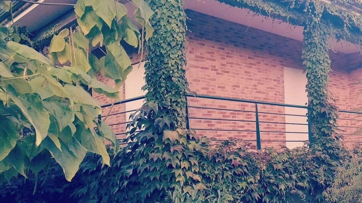 Fragoso Apartment | 🌿 Casa com Raízes e História. É Casa com Alma. É Refúgio Para Quem nos Visita