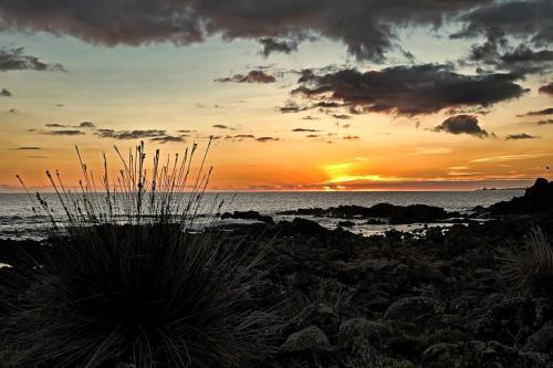 Lagoa Apartment | Casa Cruzeiro AL - by the sea OCEANTUR