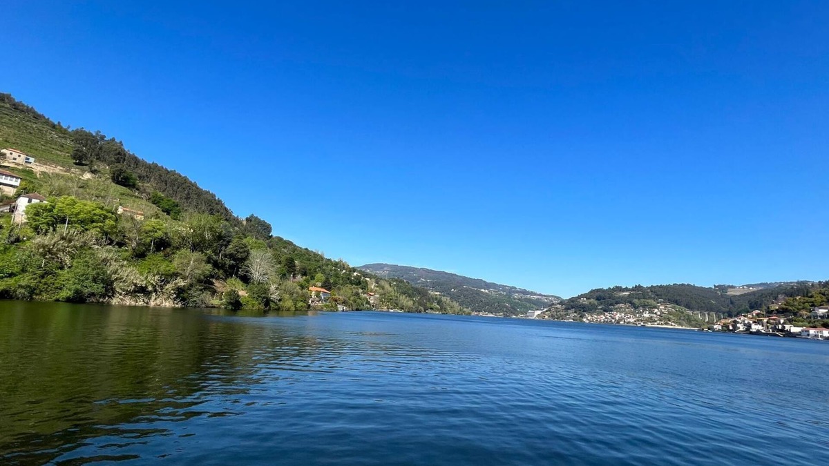 Oliveira do Douro House | Casa das Lameirinhas by LovelyStay