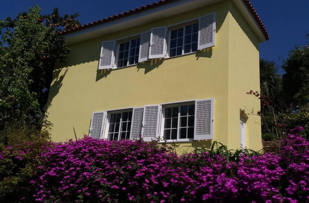 Penafiel House | casa das laranjeiras