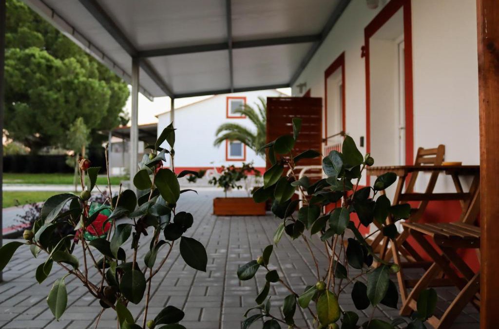 Palhais House | Casa das Pipas Palmela #2