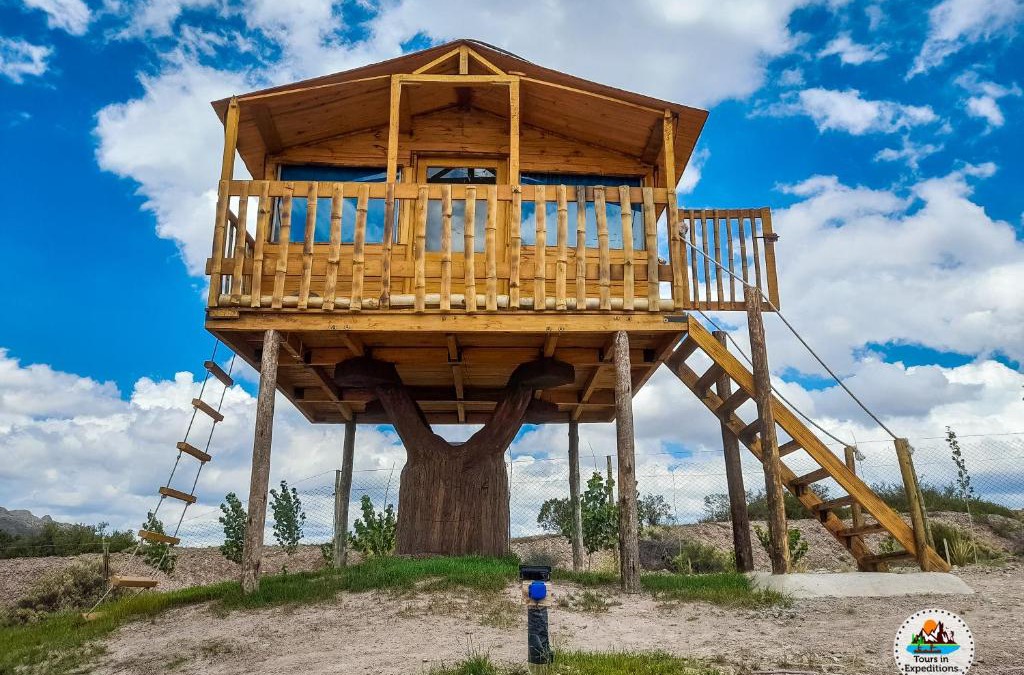 Cuyo House | Casa de Arbol estillo dormis