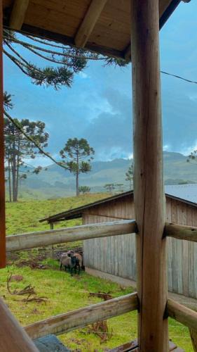 Bom Jardim da Serra House | Casa de Campo Gralha Azul
