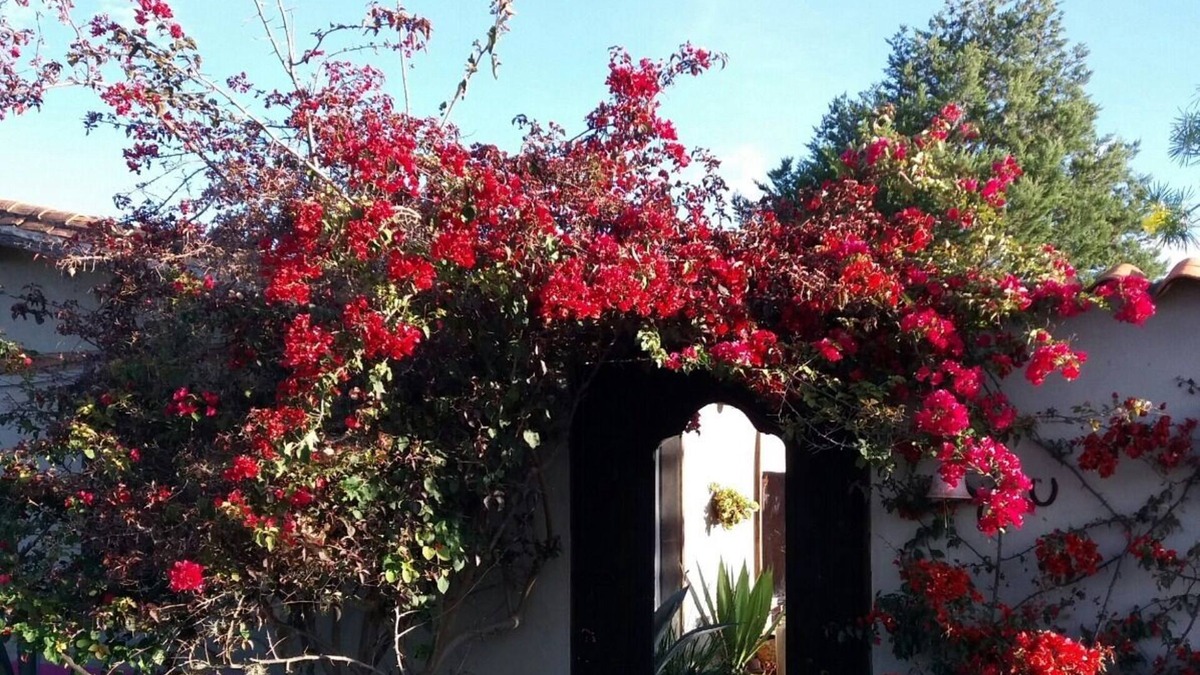 Sutamarchan Cottage | Casa de Campo Loma Amarilla