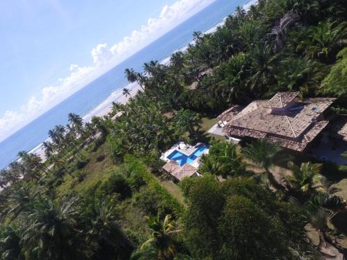 Aritagua House | Casa de Vidro