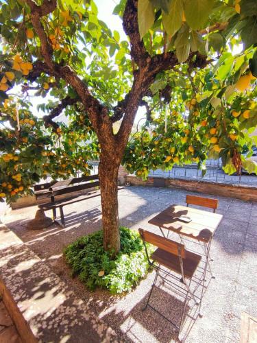 San Rocco a Pilli Apartment | Casa degli Affreschi Tuscany