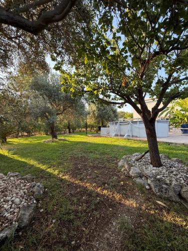 Syracuse Apartment | Casa degli Ulivi