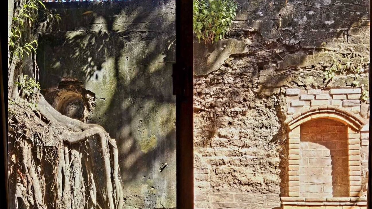 Sin Nombre Loc. San Blas Hotel | Casa del Arbol