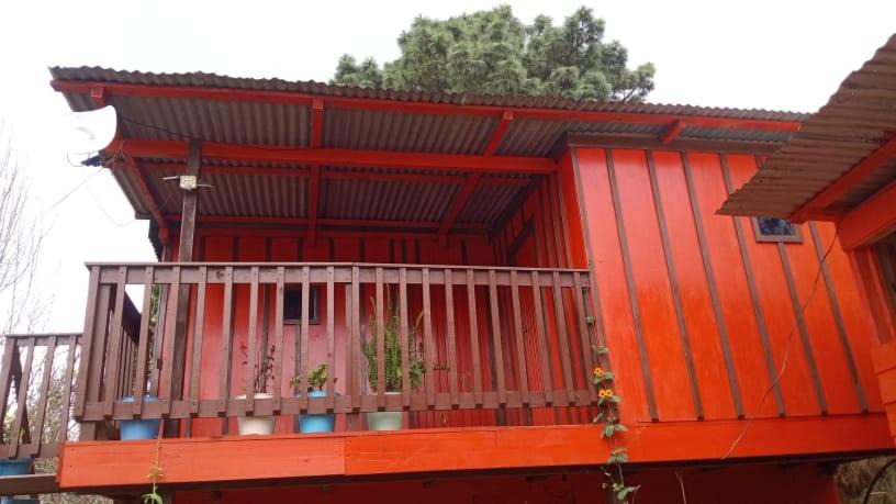 San Sebastian Rio Hondo House | CASA DEL BOSQUE