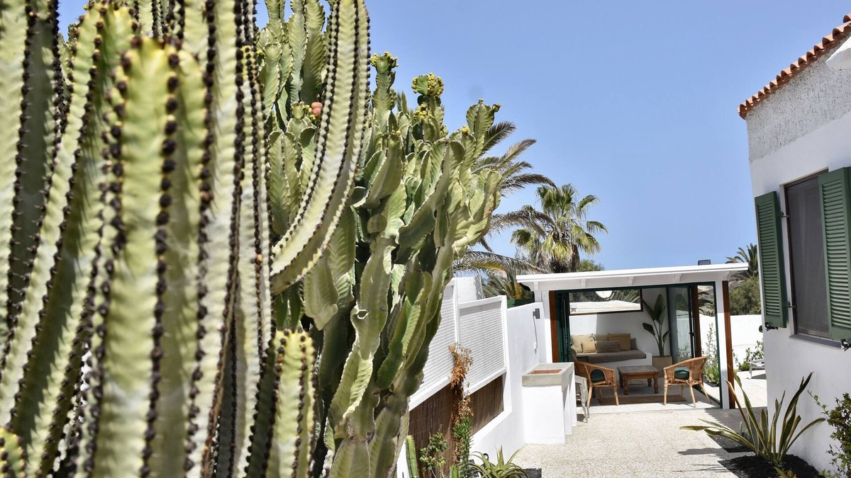 La Pared House | Casa del Viejo Rey
