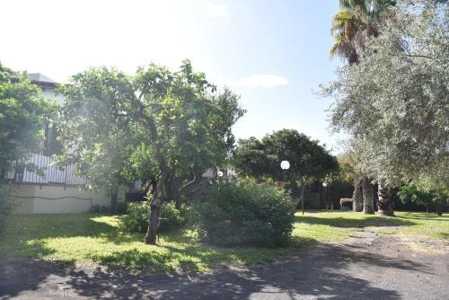 Scillichenti Apartment | Casa dell'Eucalyptus