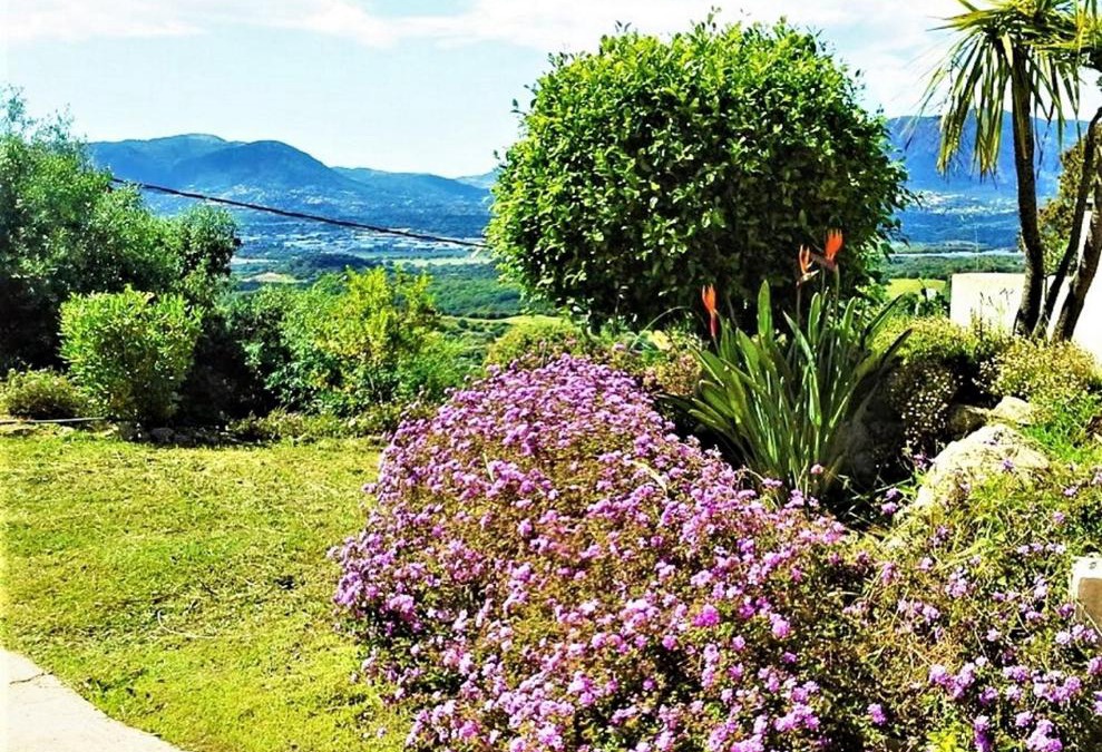 Bastelicaccia House | Casa di l'Alivetu