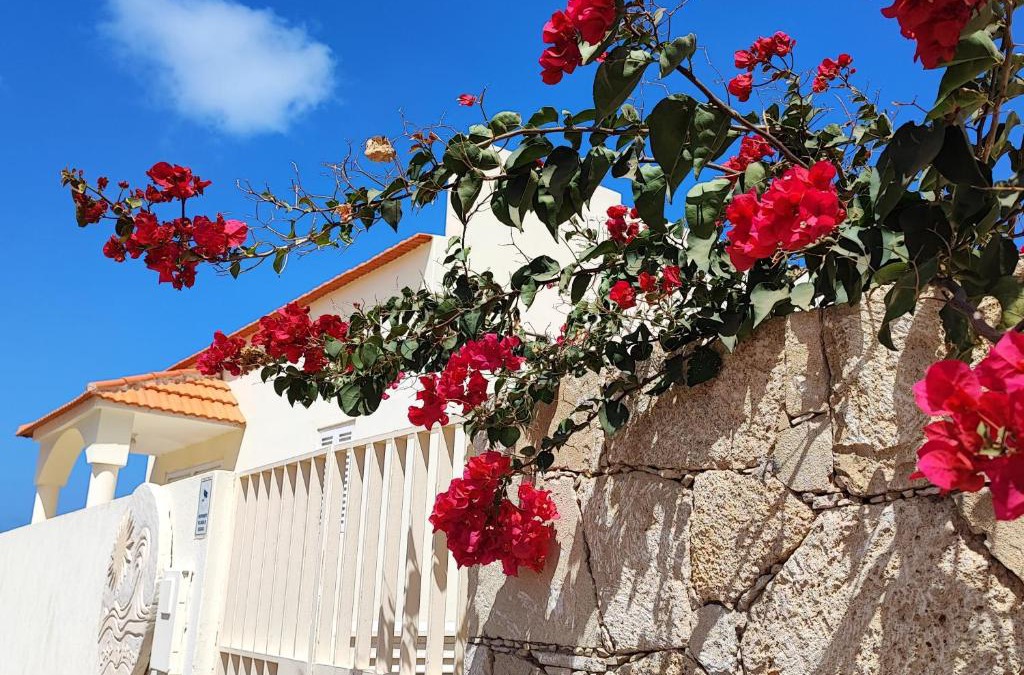 Vila do Maio Apartment | Casa Djarmai Boutique Apartments
