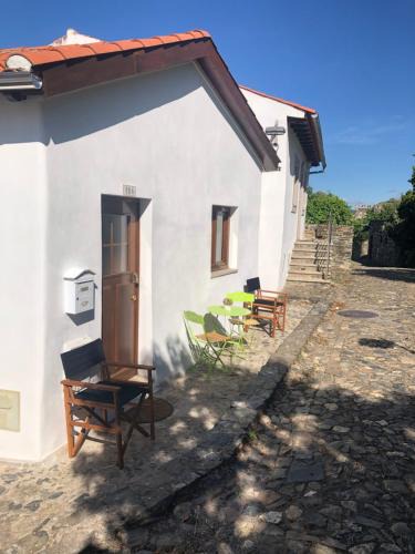 Braganca House | Casa do Domus