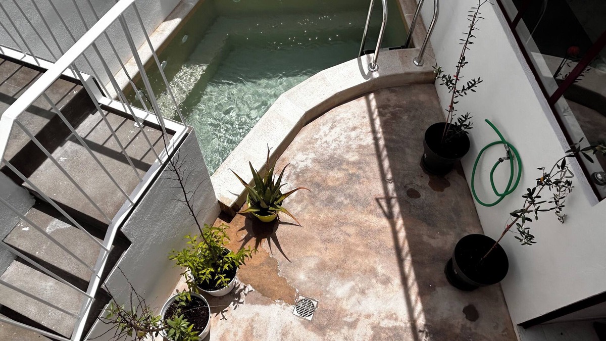 Sarzedas House | Casa do Largo, um Refúgio Encantador. Aceitam-se Animais de Estimação!