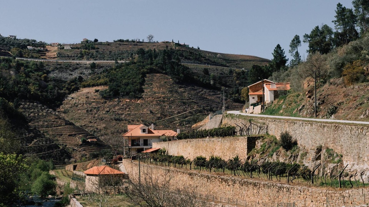 Varzea de Abrunhais Villa | Casa do Moinho - Quinta de Recião