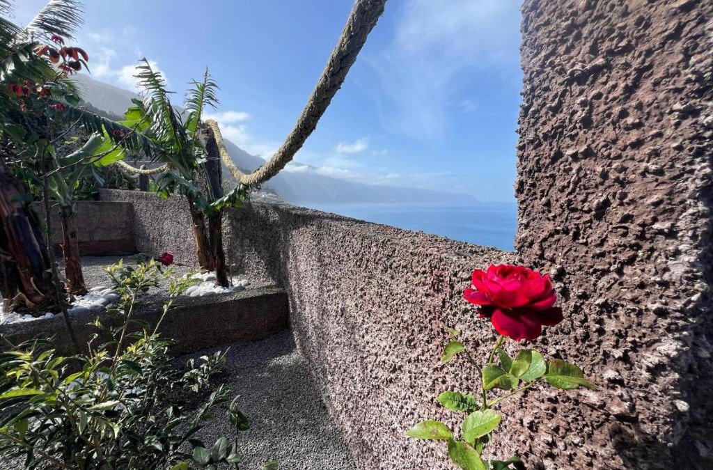 Ponta Delgada House | Casa Do Pico