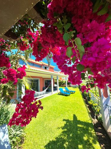 Canhas House | Casa do Piquinho