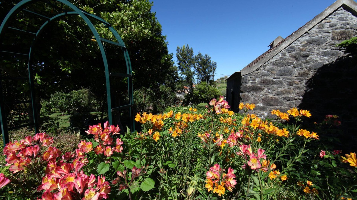 Porto Moniz Bed & Breakfast | Casa do Ribeirinho