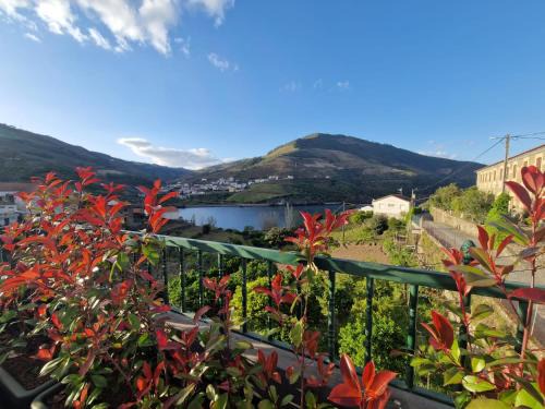 Armamar House | Casa dos Avós - Folgosa Douro